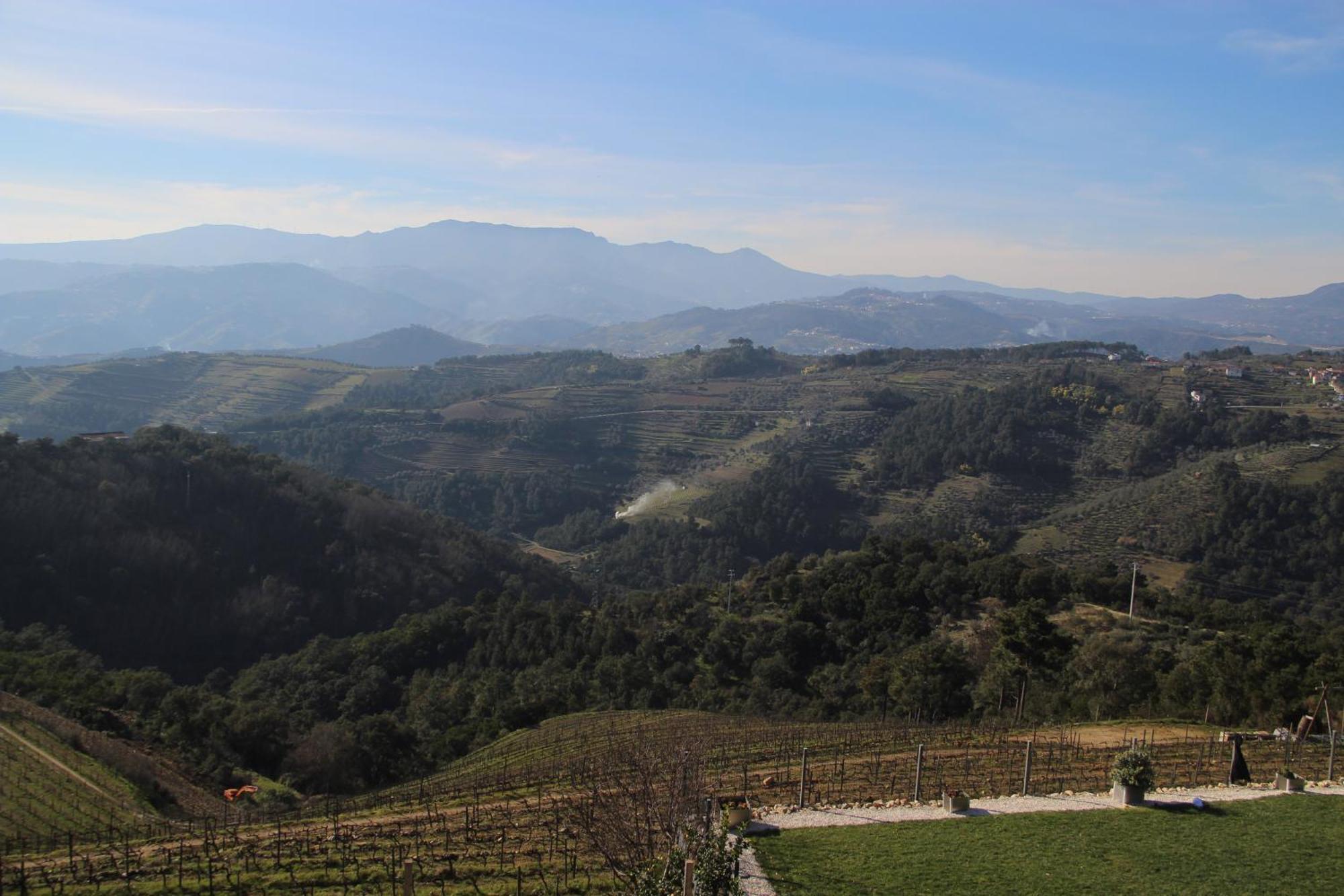 Willa Quinta Da Corujeira Vila Real Zewnętrze zdjęcie
